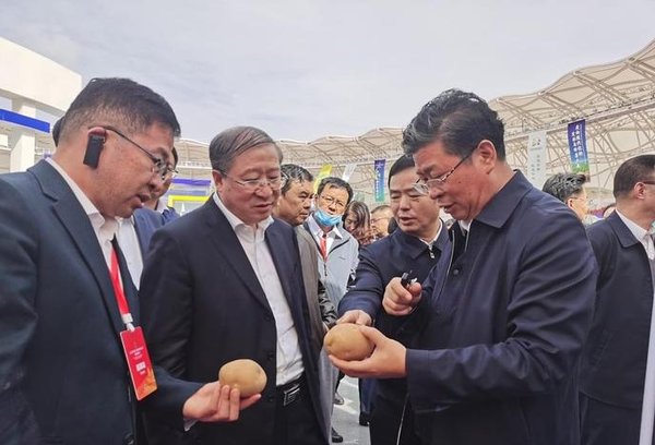 党建引领 科技赋能|“中国薯都”定西马铃薯产业高质量发展