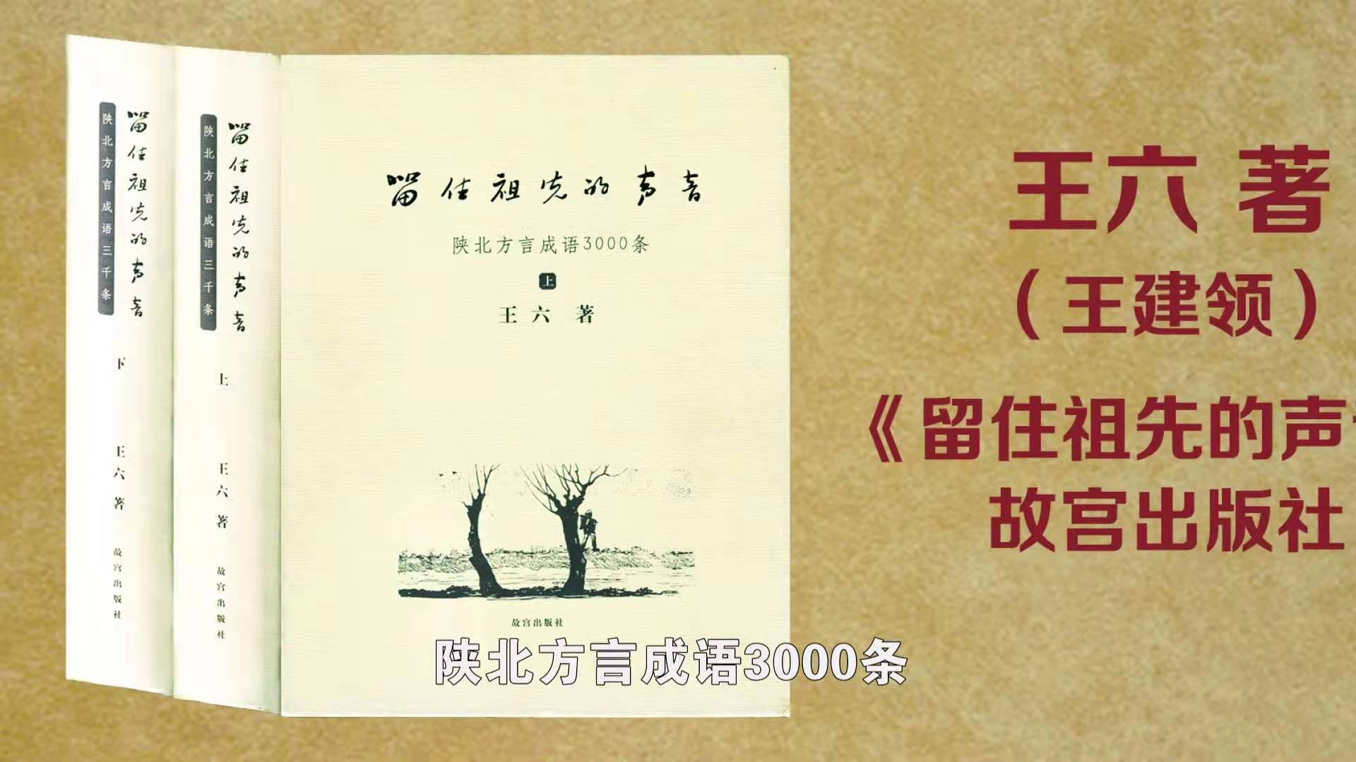 申小平：承载在民间语言上的文化记忆  ——《陕北民谚》专题片引发的思考