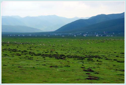 甘肃省甘南藏族自治州：建设生态宜居美丽文明小康村 不断增强人民群众获得感幸福感安全感