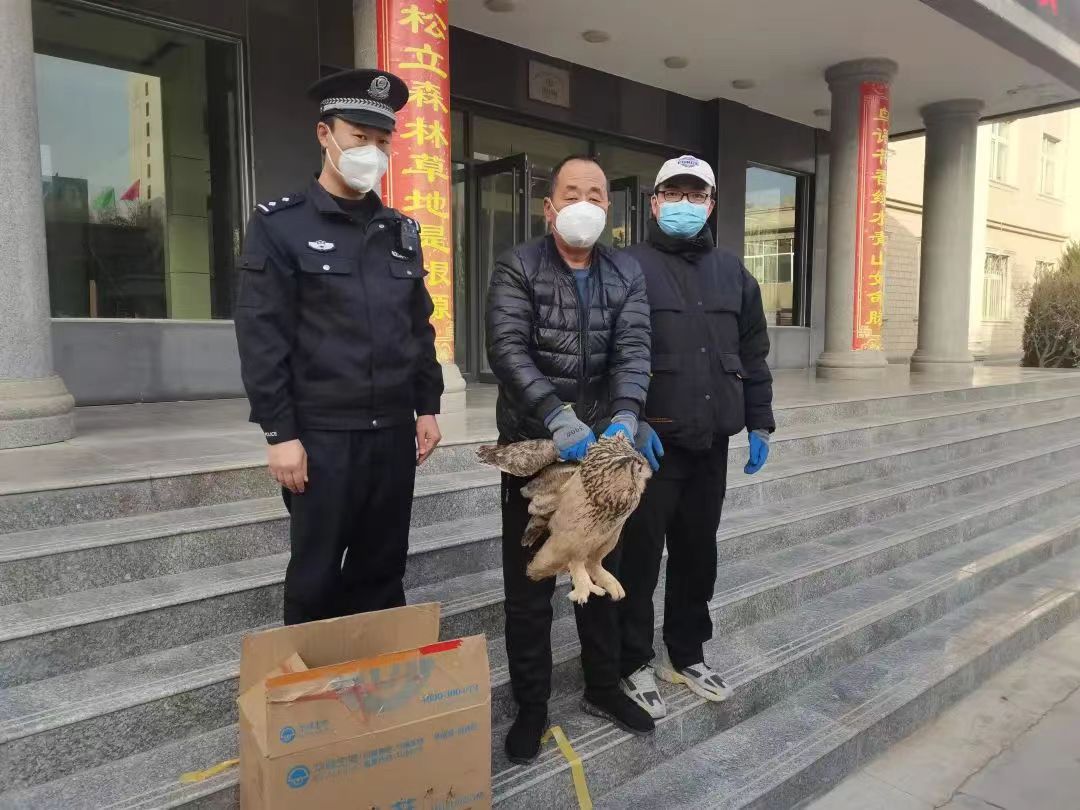 甘肃：白银市靖远县公安局平堡派出所救助一只国家二级保护动物雕枭