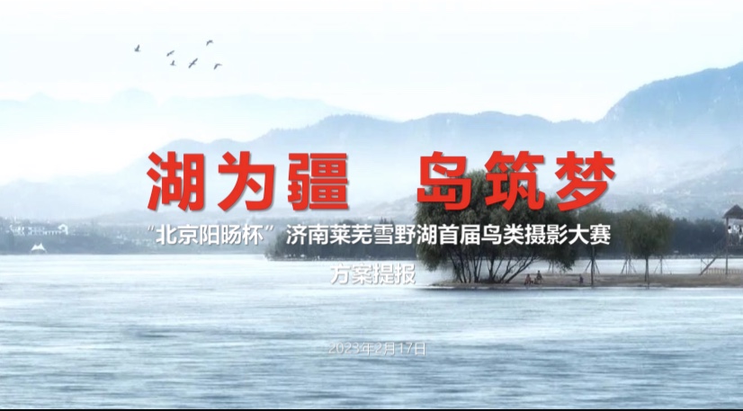 北京阳旸杯济南莱芜雪野湖首届鸟类摄影大赛 即将开幕