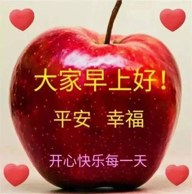 刘永刚：10万斤白菜“蔬”送地震灾区