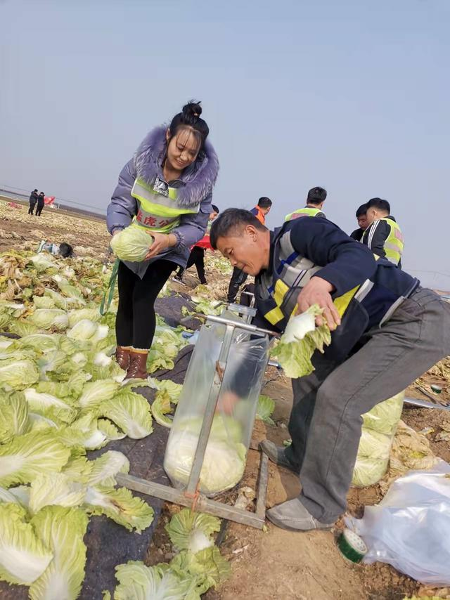 山东兰陵：兰陵县高素质农民捐赠32吨蔬菜驰援天津