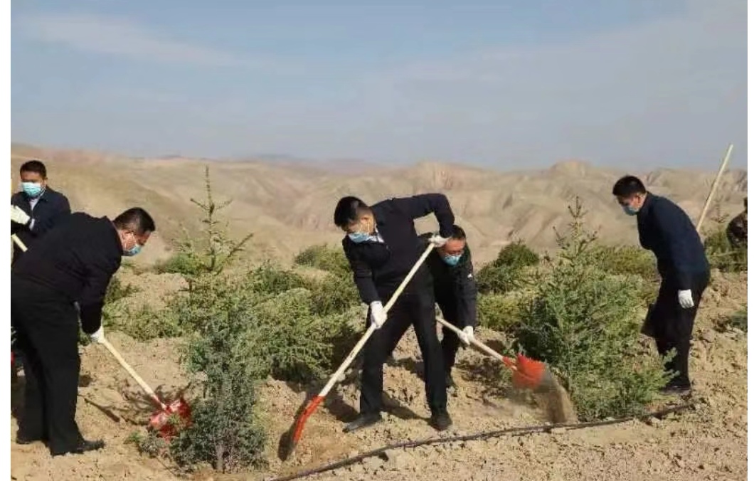 甘肃永登：领导干部齐上阵 植树造林添新绿