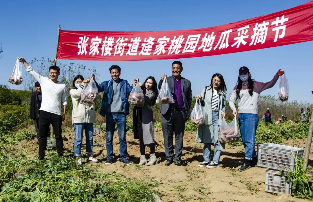 蓝图既绘，美好可期——青岛西海岸张家楼街道坚定走好乡村振兴路