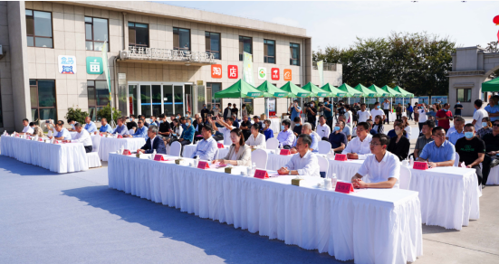 青岛西海岸首届葡萄采摘节暨新区葡萄产业协会揭牌仪式在大村镇启动