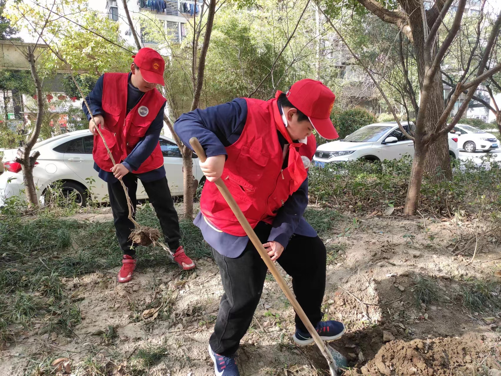 盐城亭湖毓龙街道开展绿色植树系列活动