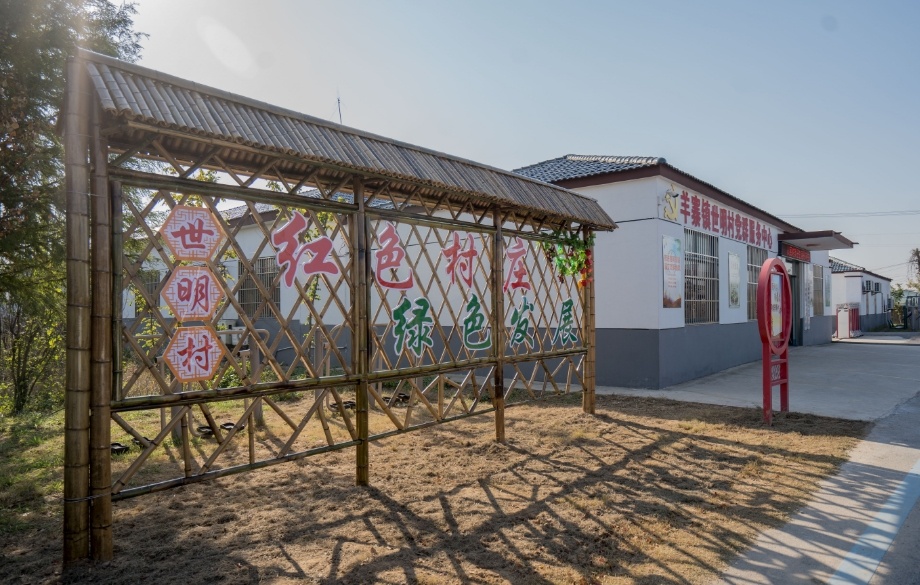江苏盐城阜宁羊寨镇：厚植绿色家底 造福一方百姓