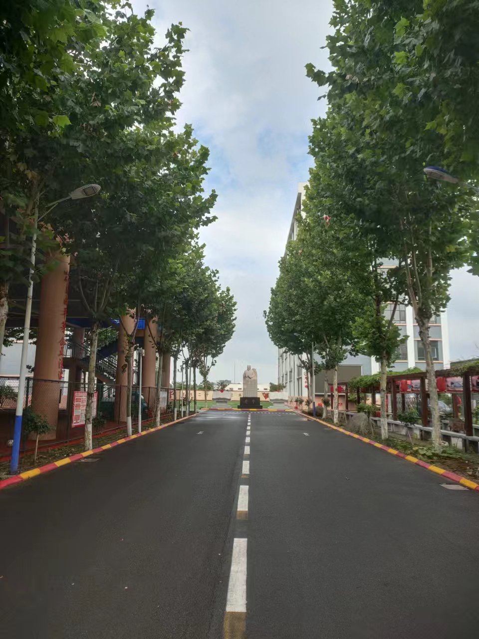 小鹌鹑大前景 发展特色养殖拓宽产业振兴路