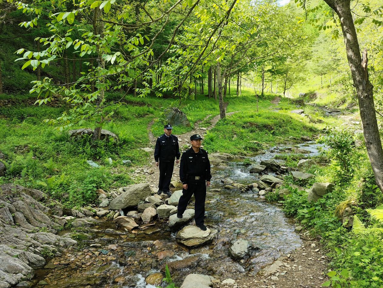 守好“绿水青山” 筑牢长江安全屏障——甘肃陇南公安创新“生态警务联勤站”模式 探索生态治理新路径